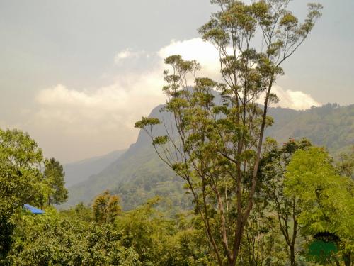 Paesaggio naturale nelle vicinanze della stanza in casa privata