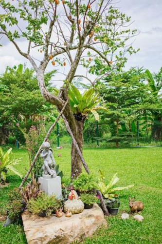 a statue sitting on a rock in front of a tree at The Terrace Hotel in Nakhon Si Thammarat