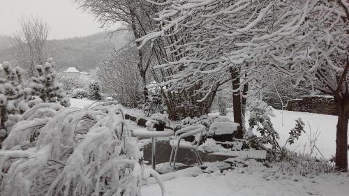a garden covered in snow with trees and bushes at Ferienwohnung Blum in Antweiler