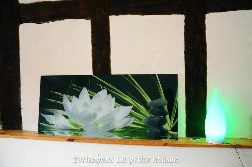 Fotografie z fotogalerie ubytování Lehmgefühl, Design Vier, La Petite Maison v destinaci Trier