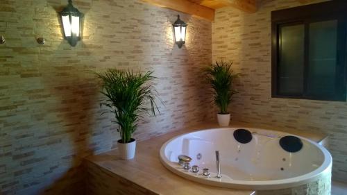 un baño con una bañera con dos plantas. en Casas El Suspiro, en Zahora