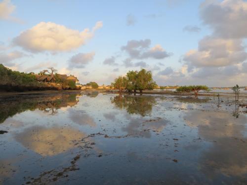 a flooded field with trees and clouds in the sky at Blue Monkey Beach Cottages in Wasini