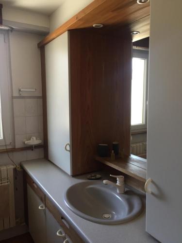 y baño con lavabo y espejo. en Appartement Orana en Oberhausbergen