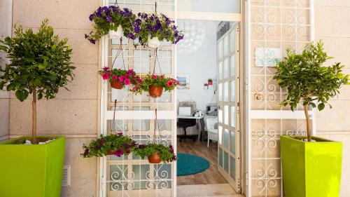 シラクーサにあるMarLove Sea View Only Rooms Spiaggia Privataの鉢植えの壁