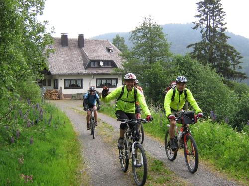 a group of people riding bikes down a dirt road at Berggasthaus Präger Böden in Todtnau