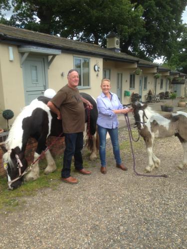 a couple of people standing next to a cow at The Stables - Deer Park Farm in Solihull