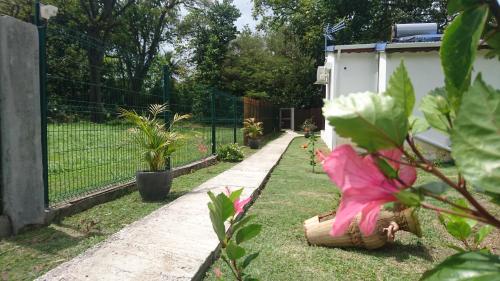 a garden with a fence and a pink flower at Rêve créole in Deshaies