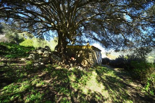 Gambar di galeri bagi Lu Rotu di Sant Antonio Di Gallura