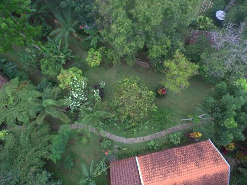 an overhead view of a garden with plants and trees at Mi Casa - The gem of Ijen in Banyuwangi