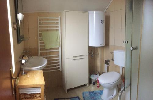a small bathroom with a toilet and a sink at Zubci mountain apartment in Bar
