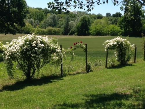 a row of gates with flowers on them in a field at Villa "Piemonte" in Tigliole