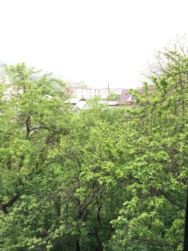a group of trees with buildings in the background at Areguni Guest House in Dilijan