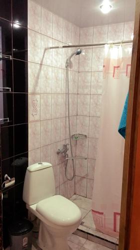 a bathroom with a toilet and a shower with a shower curtain at Areguni Guest House in Dilijan