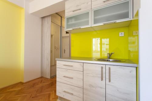 Cuina o zona de cuina de Apartment Partizanska