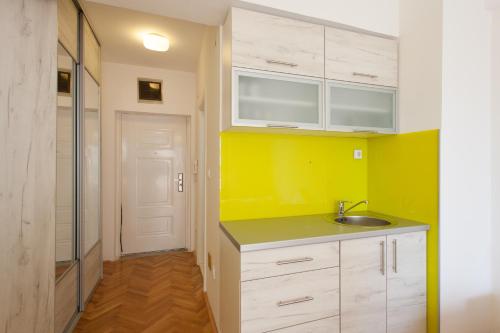 Cuina o zona de cuina de Apartment Partizanska