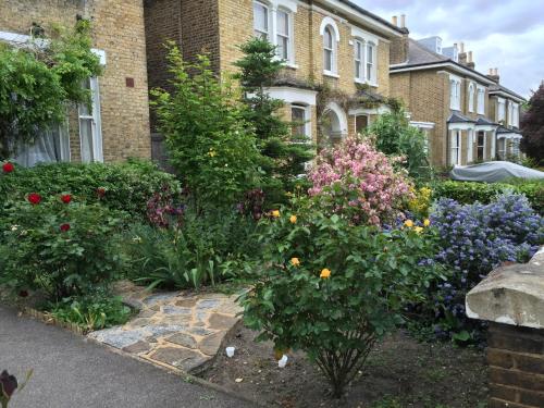 a garden in front of a house with flowers at St. James's Guest House in London