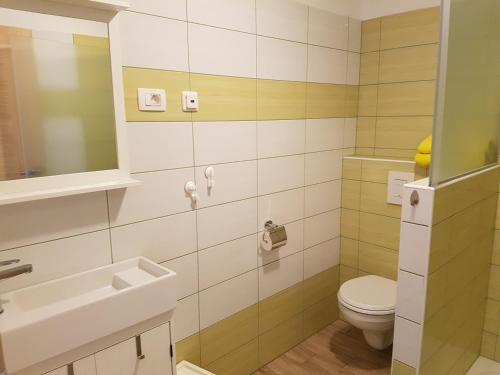 een badkamer met een toilet en een wastafel bij Rooms Tolminska korita in Tolmin