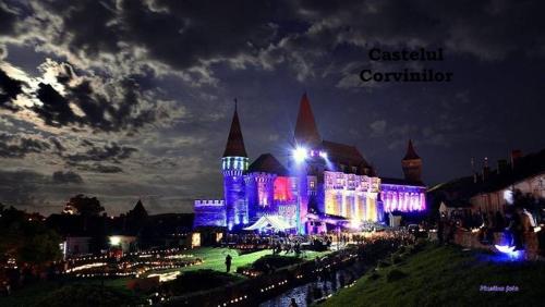 a castle lit up at night with blue and purple lights at Pensiunea Avy in Haţeg