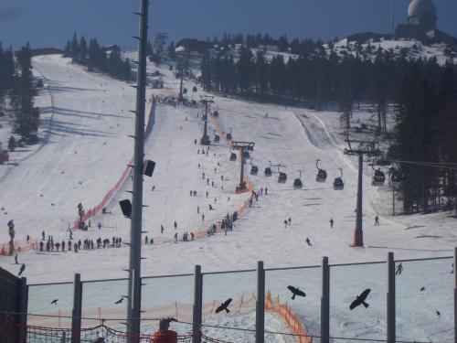 a group of people skiing down a ski slope at Pension Arbersonne in Bayerisch Eisenstein