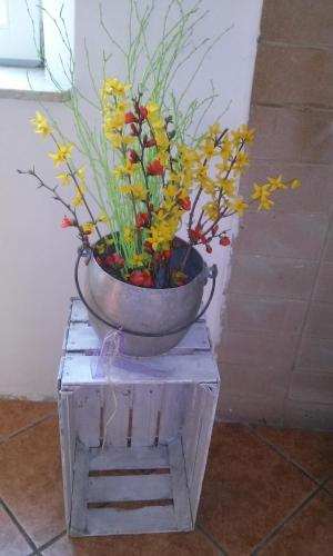 Gallery image of Agriturismo Bosco Fiorito in Muggia