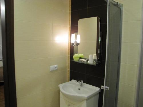 a bathroom with a sink and a mirror at Heveliusz in Sokołów Podlaski