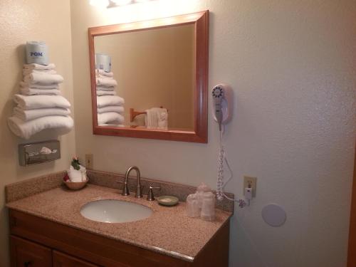 a bathroom with a sink, mirror and a teddy bear at Innsbruck Lodge in Mammoth Lakes