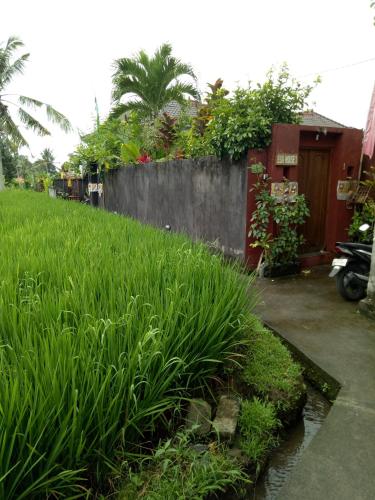 Κήπος έξω από το Villa Esa Ubud