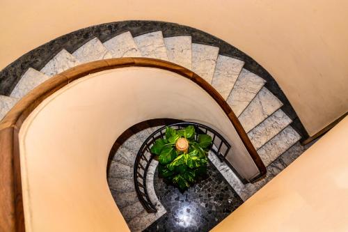 a spiral staircase with a plant in the middle at Tama Rooms in Rome