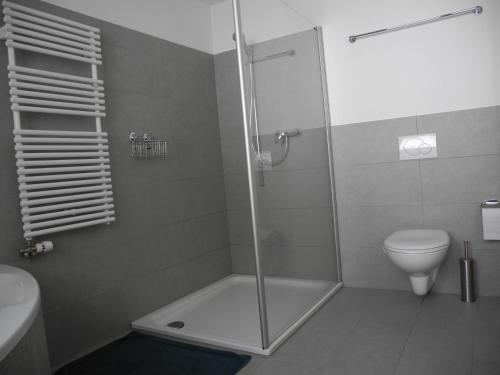 un baño con ducha y WC en Adlerhorst, en Saas-Almagell