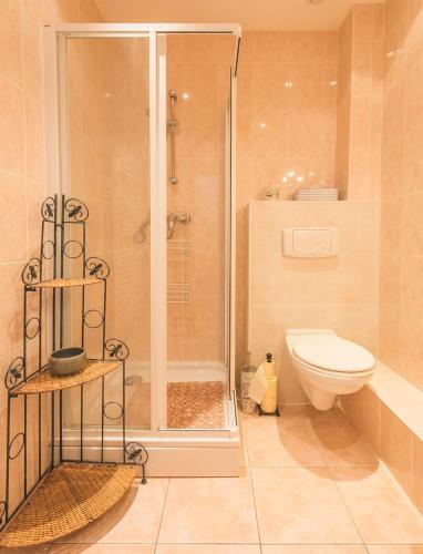 une salle de bain avec douche et toilettes dans l'établissement Chez Barbara, à Beaune