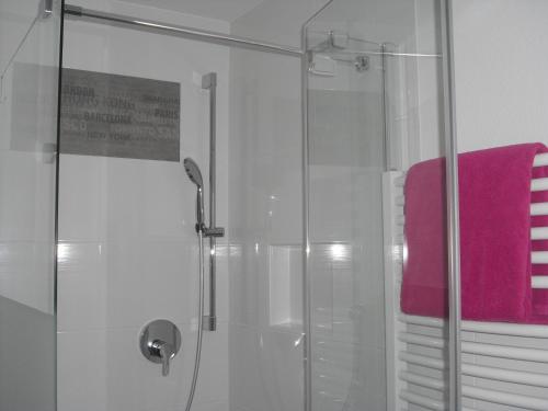 a shower with a glass door and a pink towel at Gästehaus Cramer in Bad Kissingen