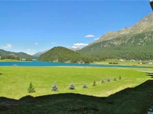 a large green field with trees and a lake at Ille Terrarum in Silvaplana