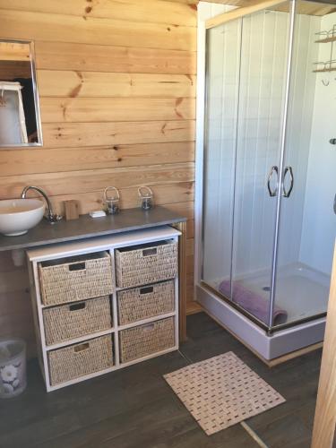 a bathroom with a shower and a sink at Le sang des vignes in Monbazillac