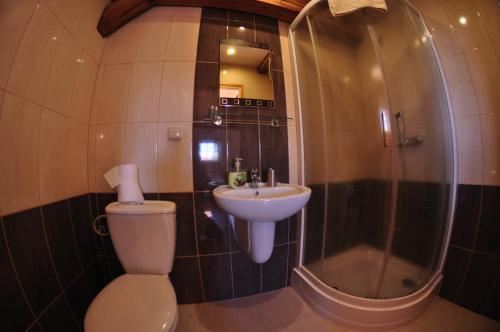 a bathroom with a toilet and a sink and a shower at Stary Spichrz Kawiarnia & Noclegi in Chełmno