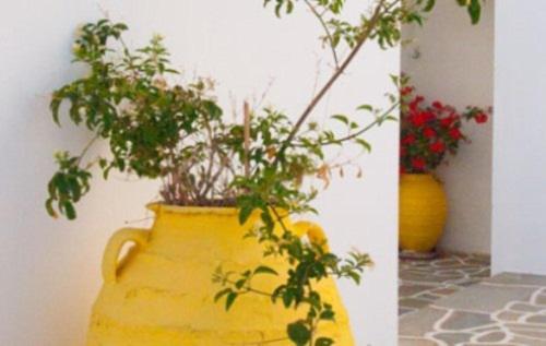 a yellow vase with a plant in it at Blue Sky in Ios Chora