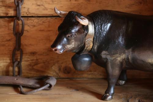 アパートメントの敷地内または近くにいる動物