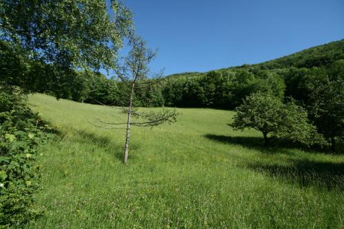 Paisaje cerca de esta casa o chalet