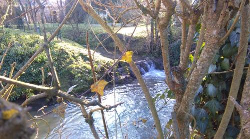 a stream of water with trees and a waterfall at Le Moulin Aux Moines in Croissy-sur-Celle