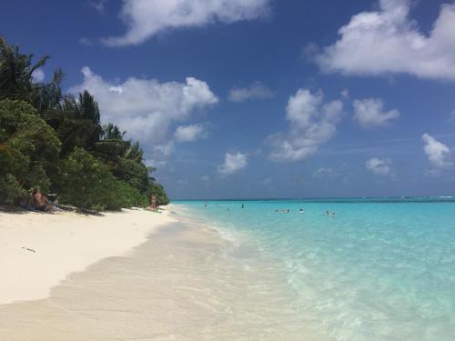 a group of people in the water on a beach at Dive Villa Thoddoo in Thoddoo