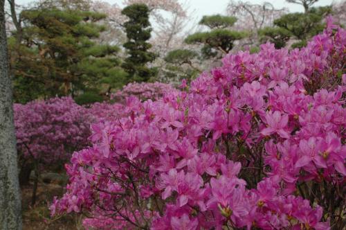長多喜にある庭
