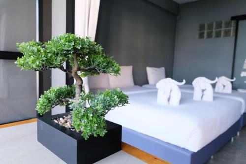a bonsai tree sitting on top of a bed at Sleep Airport Chiang Mai in Chiang Mai