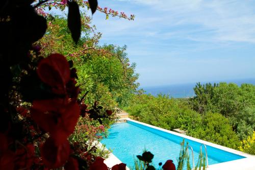 Πισίνα στο ή κοντά στο Hotel Rio Molas