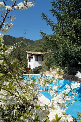 Πισίνα στο ή κοντά στο Hotel Rio Molas