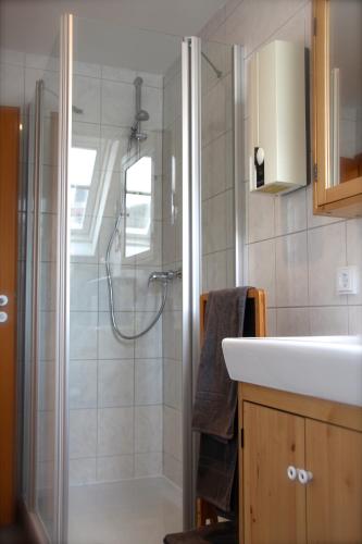 a bathroom with a shower and a sink at Ferienwohnung Kirchturmblick Euren in Trier
