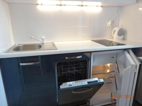 a kitchen with a sink and an open oven at Willa Centrum in Krynica Zdrój