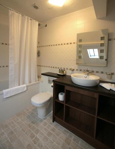 a bathroom with a sink and a toilet and a mirror at Colwick Hall Hotel in Nottingham