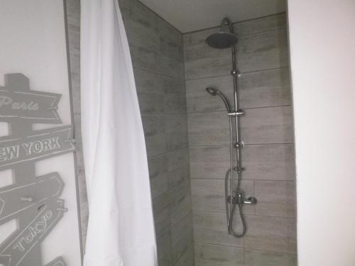une douche avec un rideau de douche dans une salle de bain dans l'établissement Chez Isa, à Saint-Martin-Boulogne