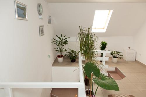a living room with potted plants and a staircase at Guest House Ljubica in Rastovača