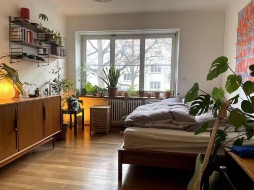 Bright, central 5-room apartment, Basel (updated prices 2027)