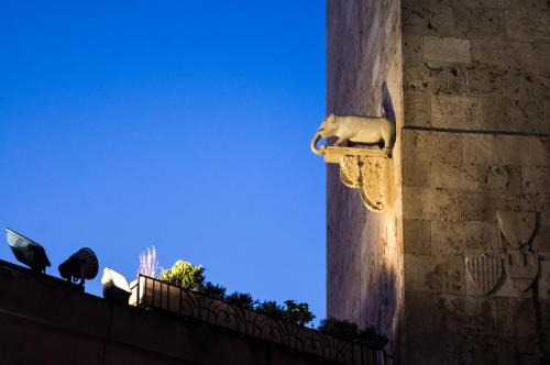 Gambar di galeri bagi Il Gallo Bianco di Cagliari